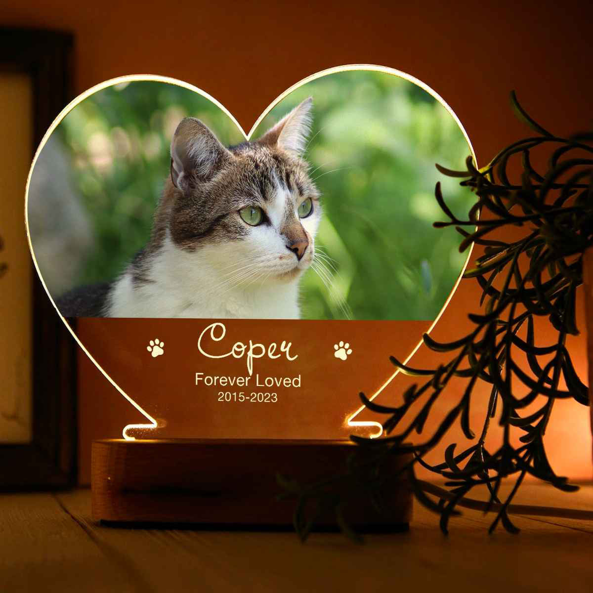 Pet Memorial Custom Acrylic Heart Night Light | Personalized Bedroom LED Decor Sign | Light Up Sign | Gift for Pets