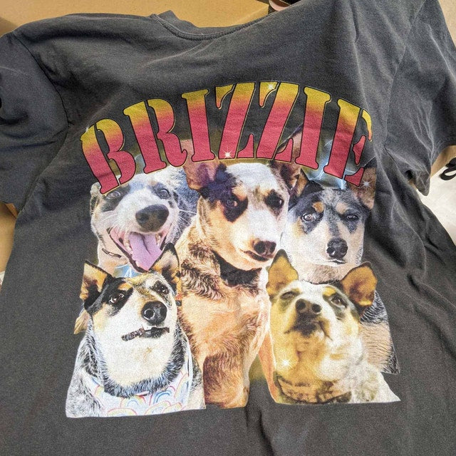 Camisa personalizada para perros con colores cómodos, sudadera con capucha personalizada para mascotas