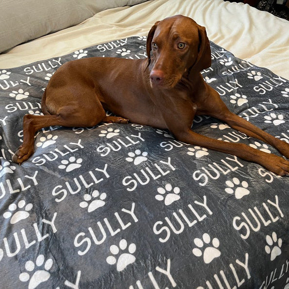 Personalized Paw Print Name Blanket For Pet Pet Lover Gift