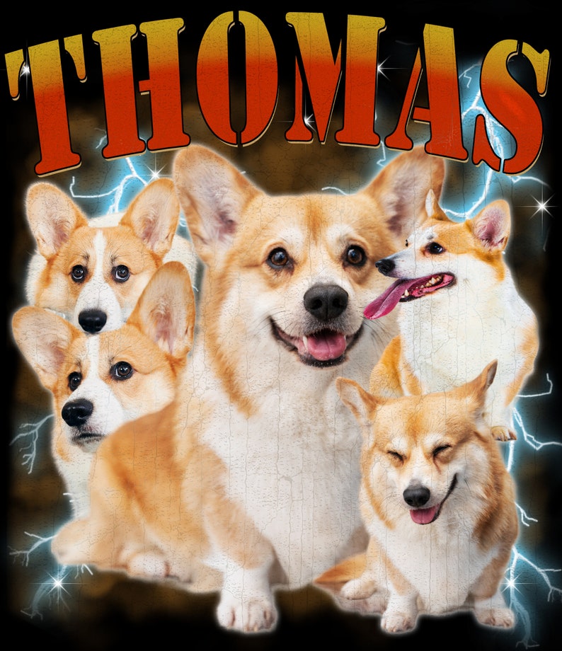 Camisa personalizada para perros con colores cómodos, sudadera con capucha personalizada para mascotas