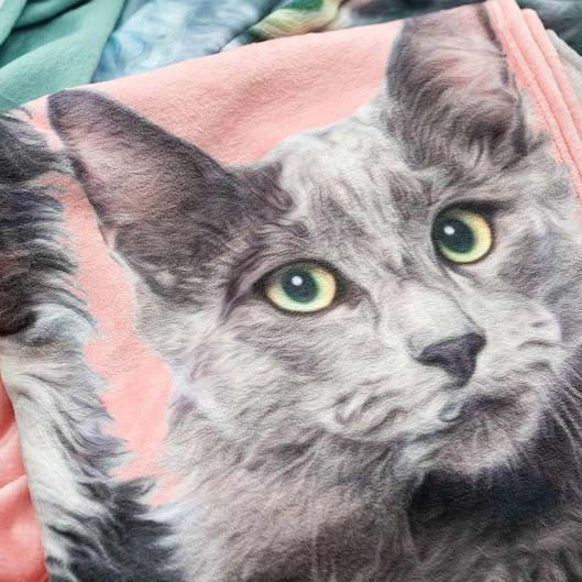 Personalized Pet Photo Blanket for Cat Mom Christmas Gift HET0223H