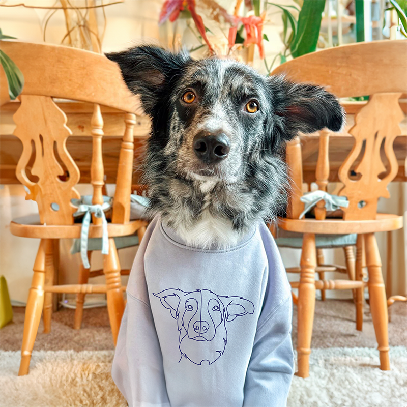 Custom Embroidered Sweatshirt
