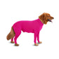 Pet Cute Outfit