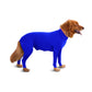 Pet Cute Outfit