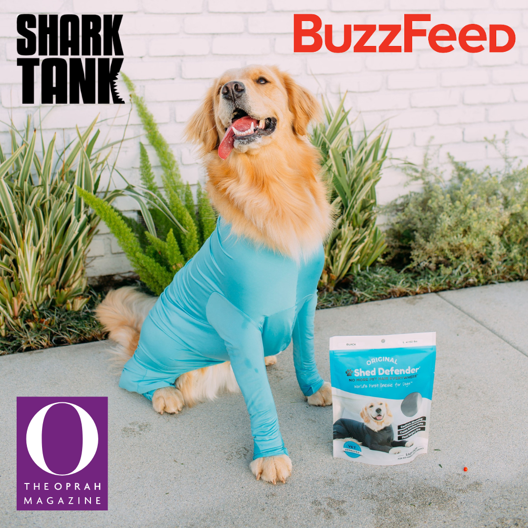 Pet Cute Outfit