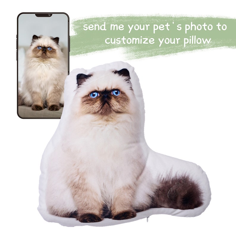 Sudadera con capucha/sudadera con retrato de mascota bordada personalizada 